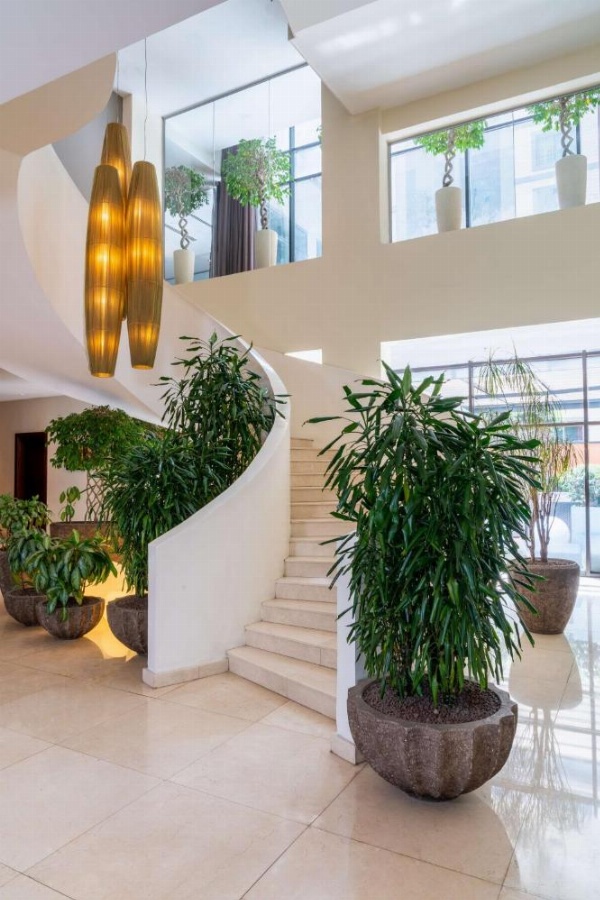 Radisson Blu Hotel, Addis Ababa image 14